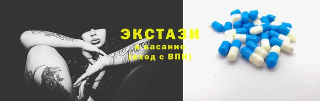 СК Алексин
