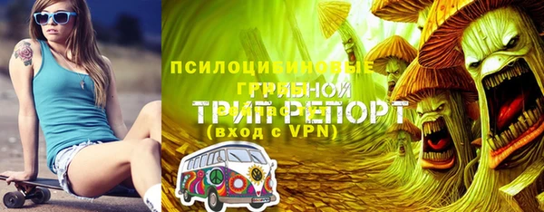 СК Алексин