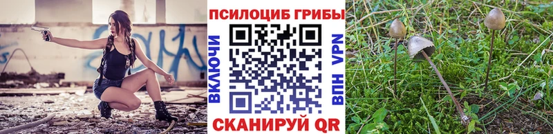 закладка  Рославль  Галлюциногенные грибы Psilocybine cubensis 